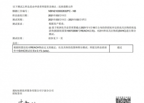 Reach中文检测报告